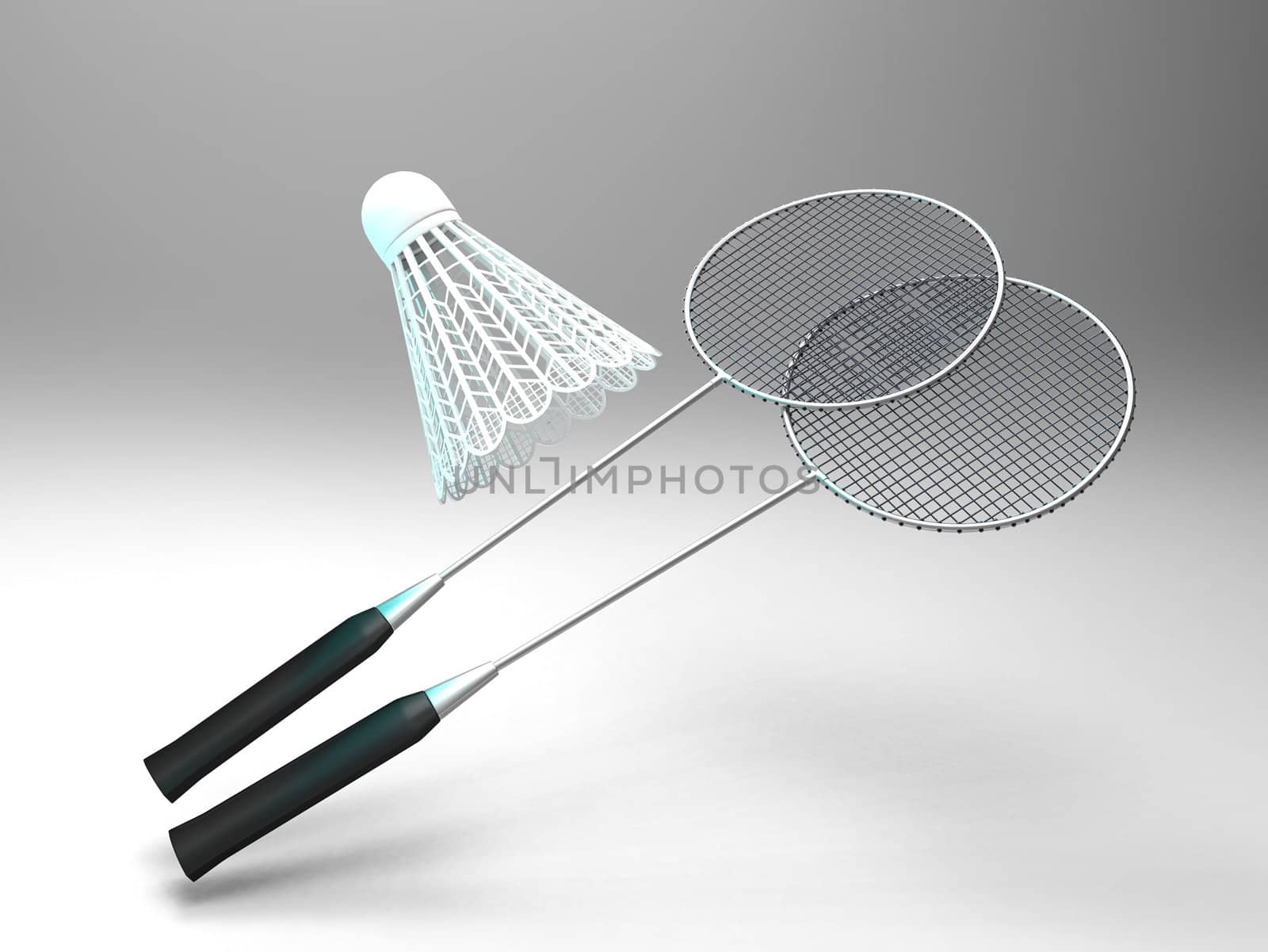 the badminton