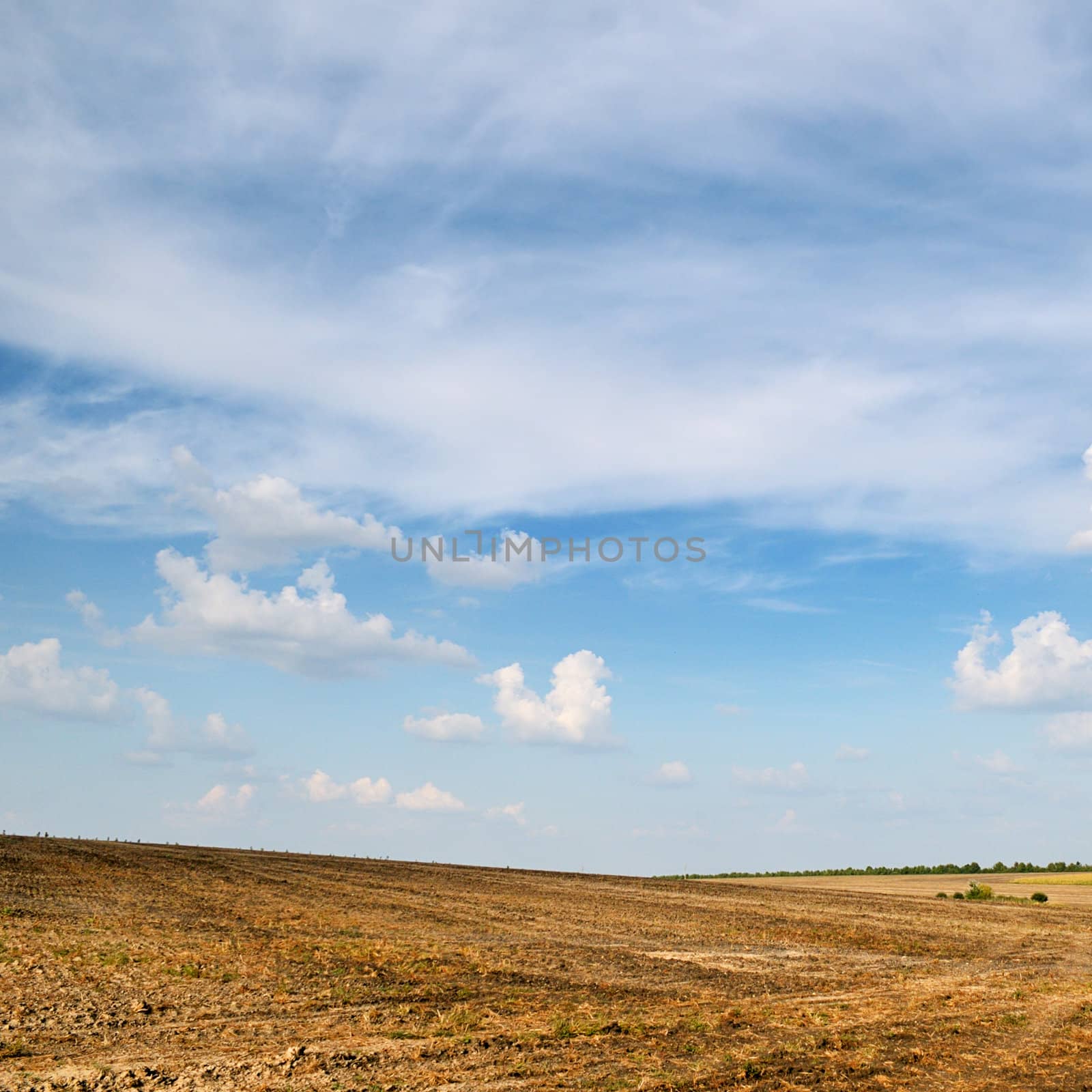 field and clouds