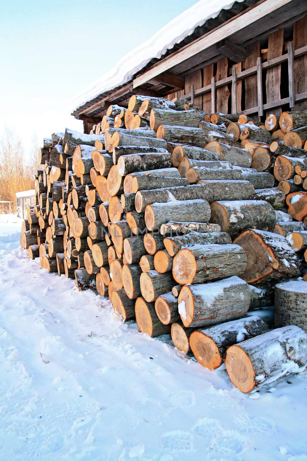 firewood