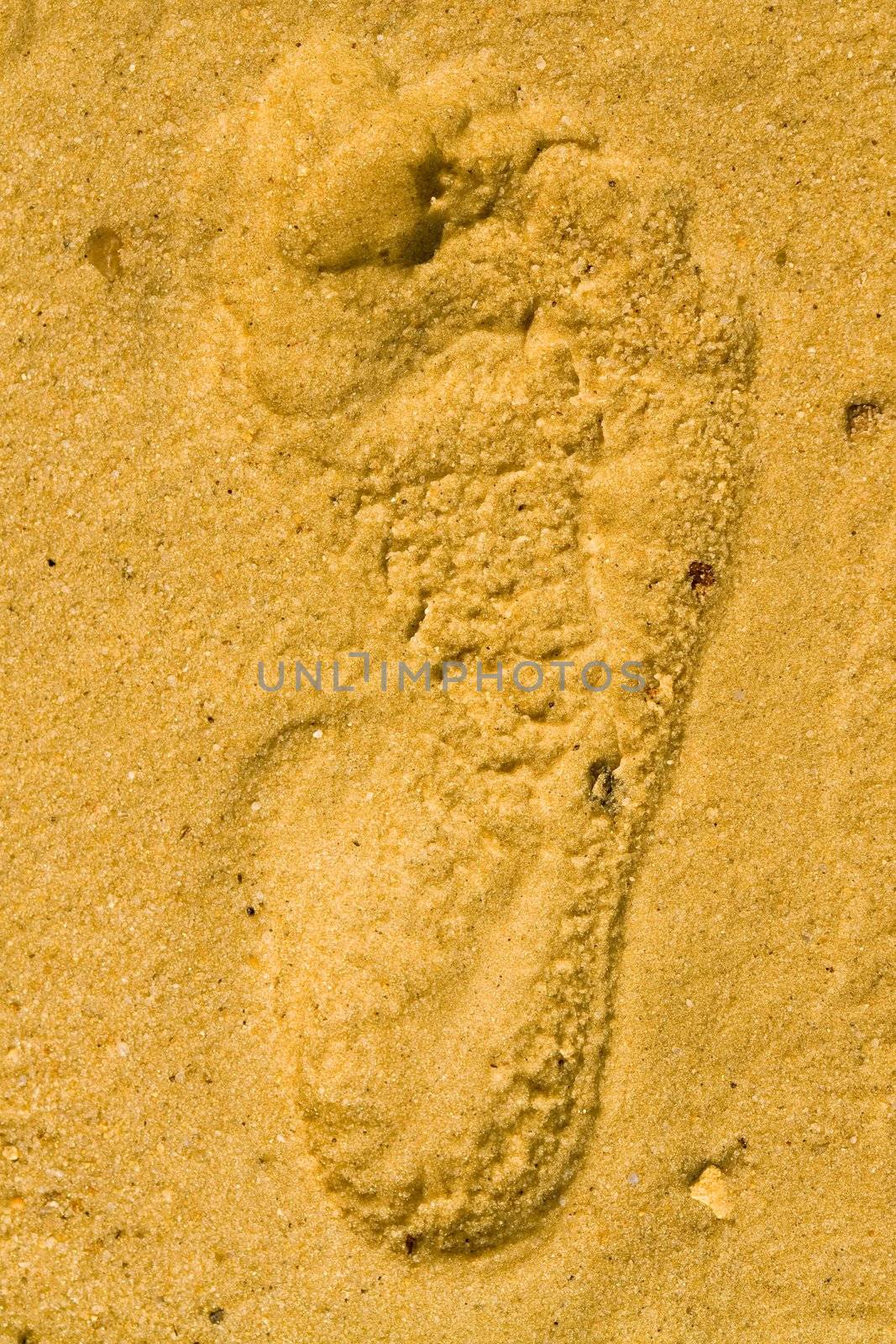 Footprint in the sand on a solar beach