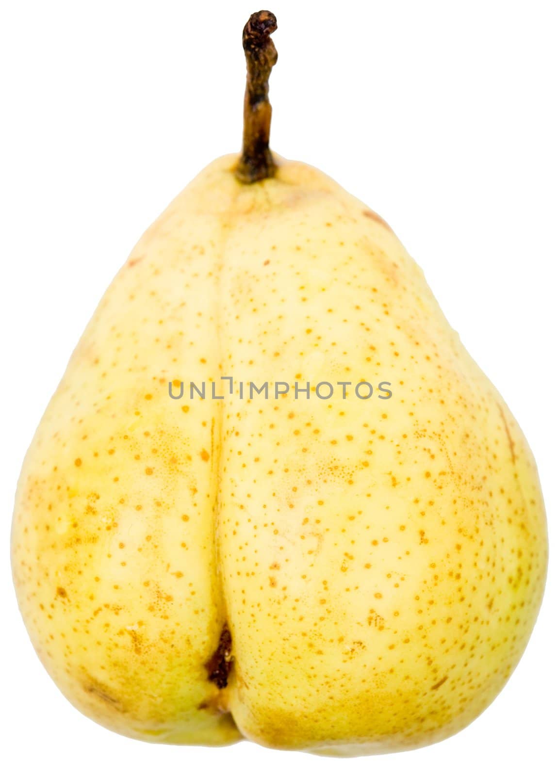 A single pear on a white background