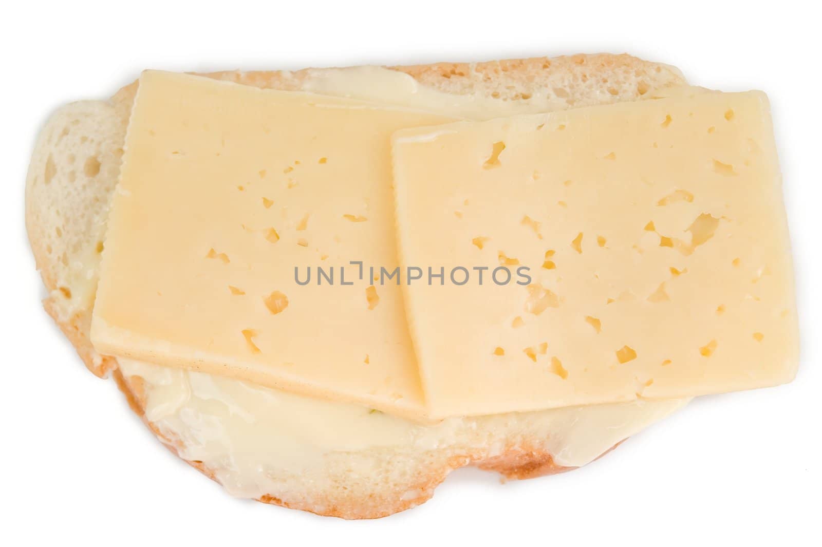 the cheese sandwich on a white background