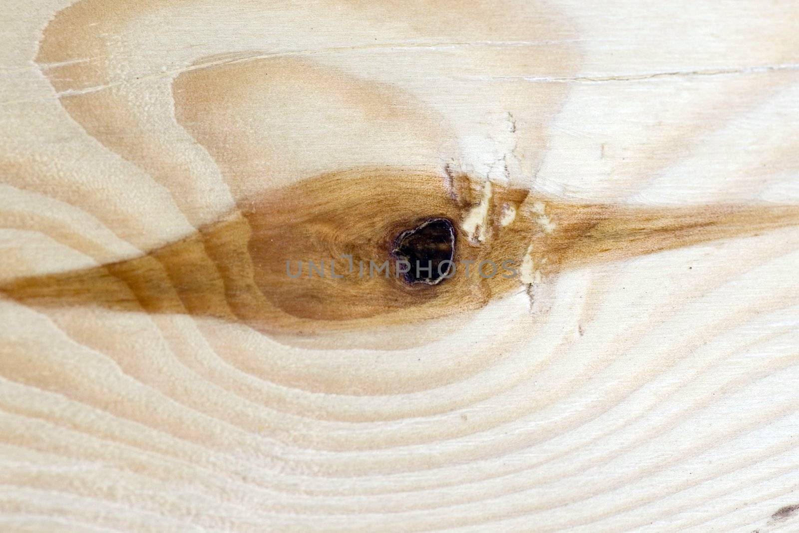 Wood texture .nature pattern, tree