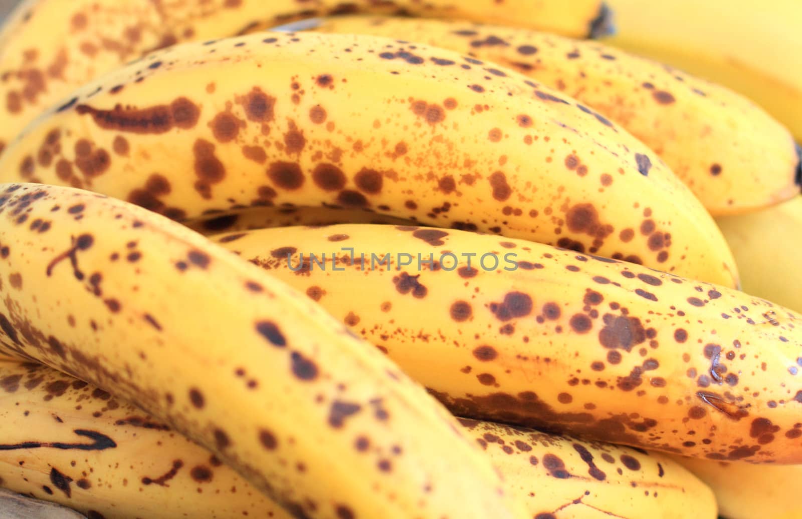 Close up of the bananas for background