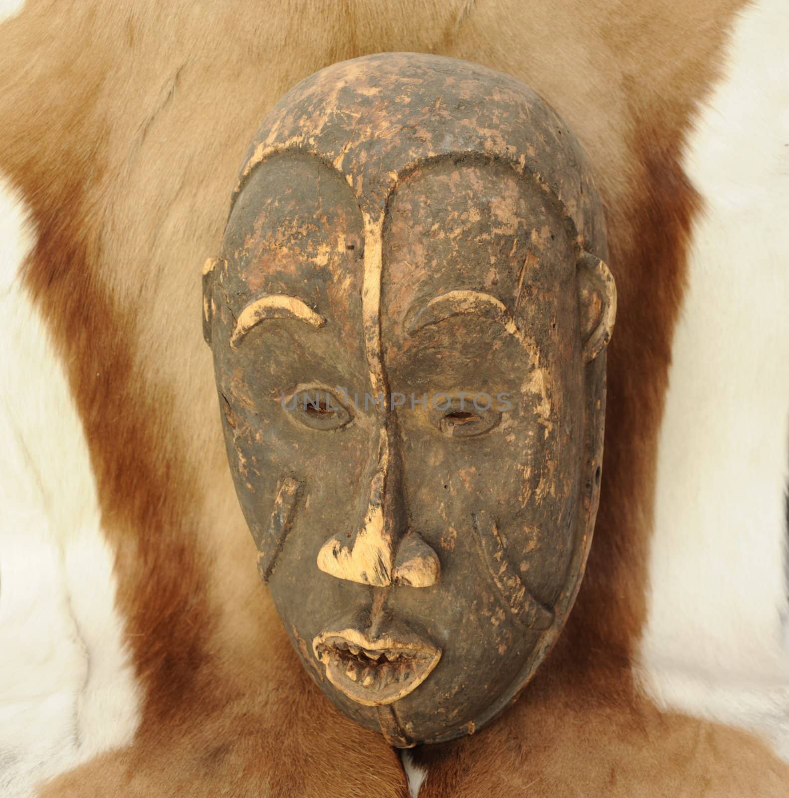 Handmade Antique African Mask on a Fur of 
Wild African Animal.
