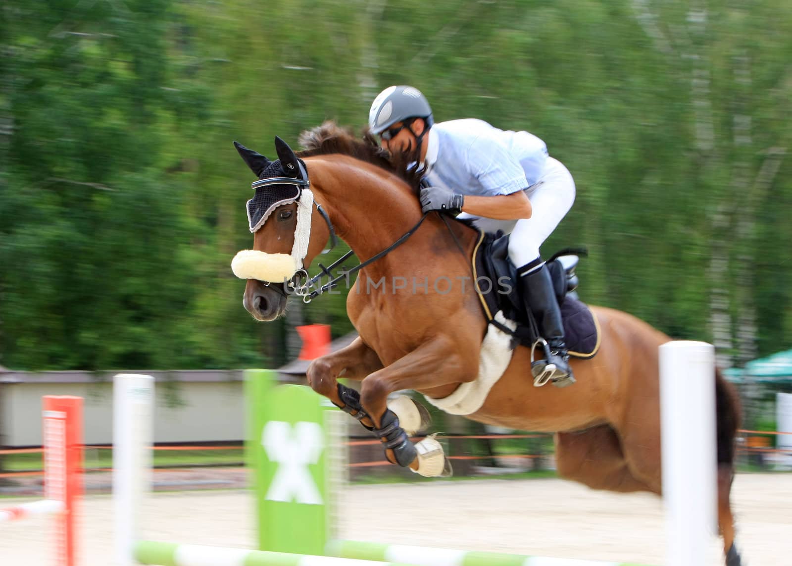 riding competition.jokey with him sport pony