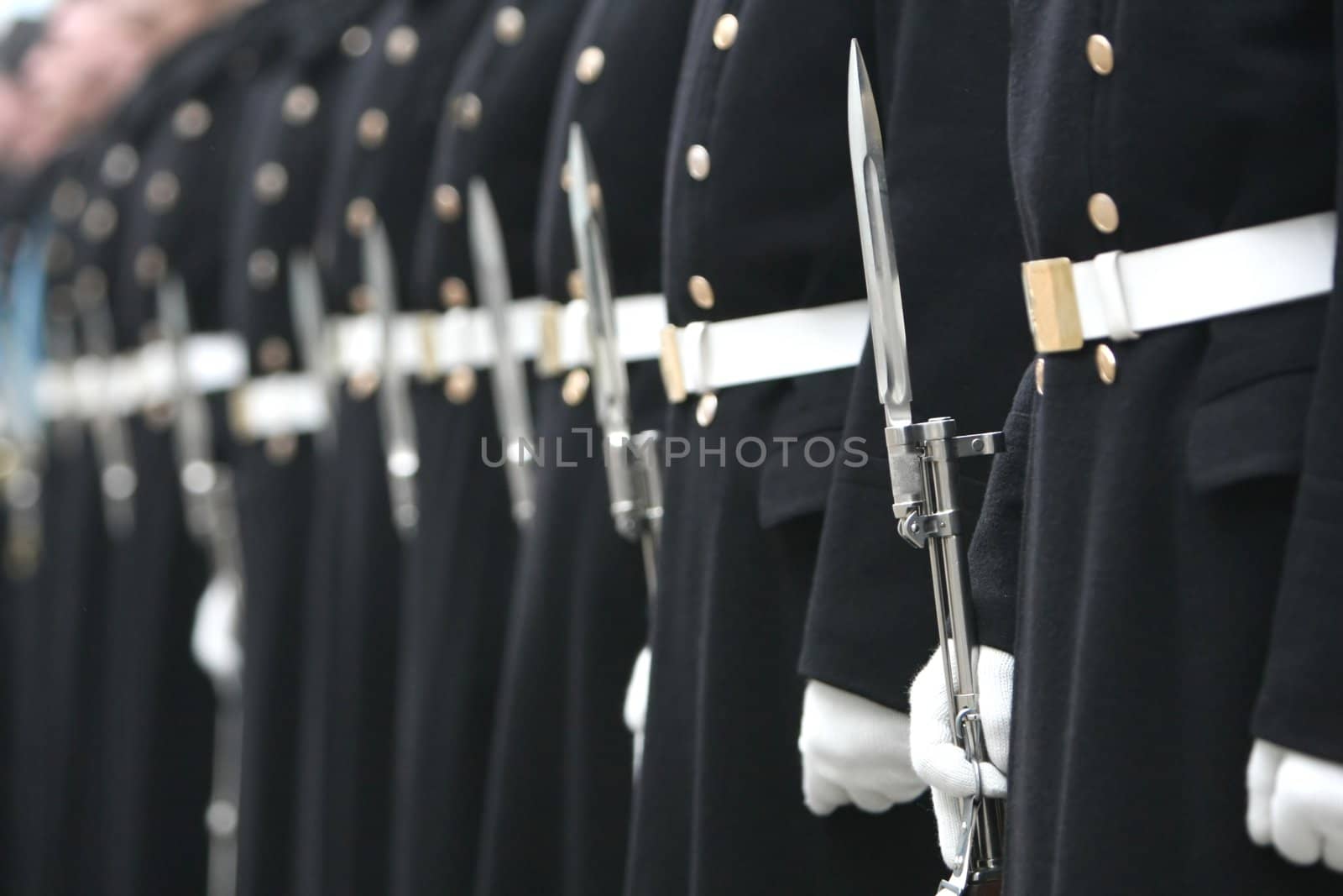 soldiers of honoured household troops