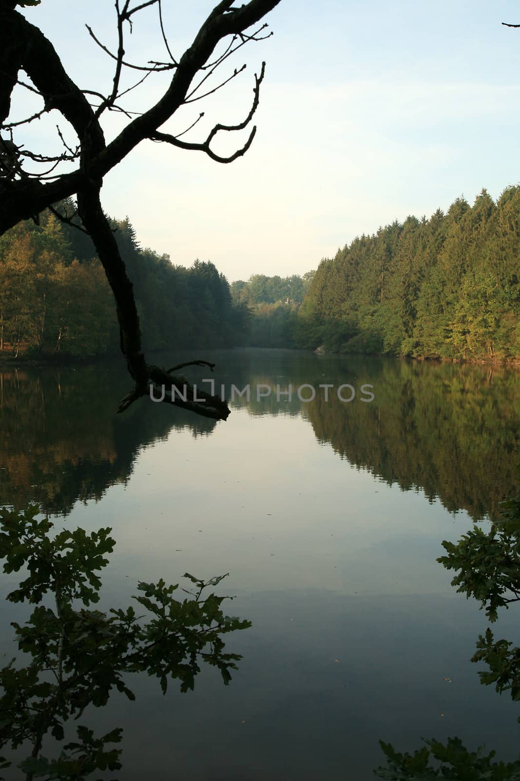 Lake in Ardennes - Belgium by fotokate