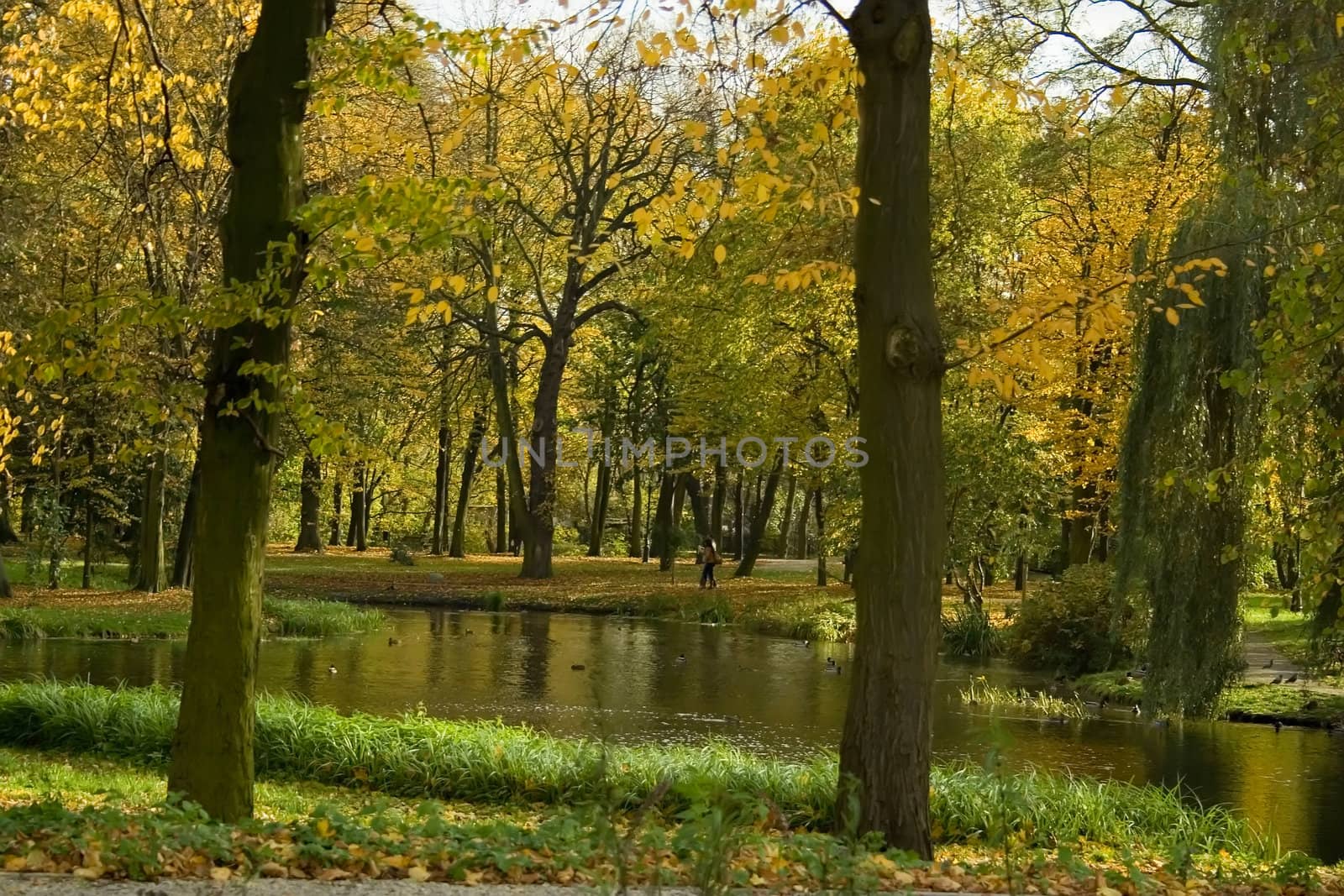 Colored Autumn in beautiful park in Poland