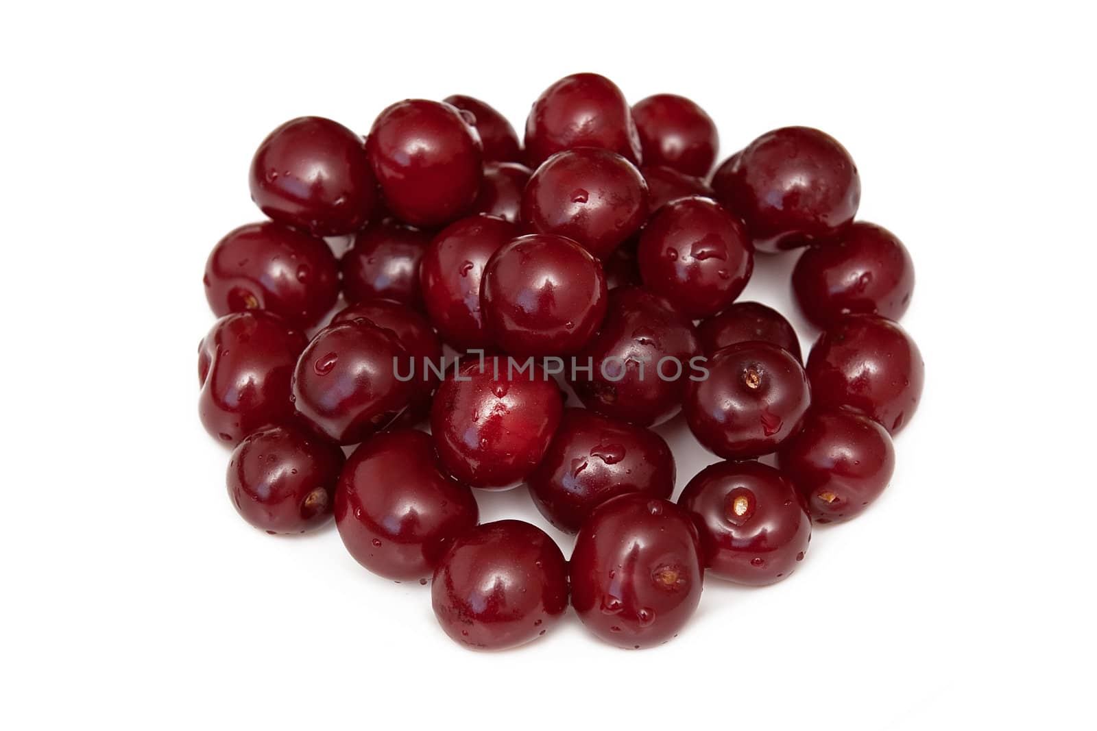 Cherries on the white background