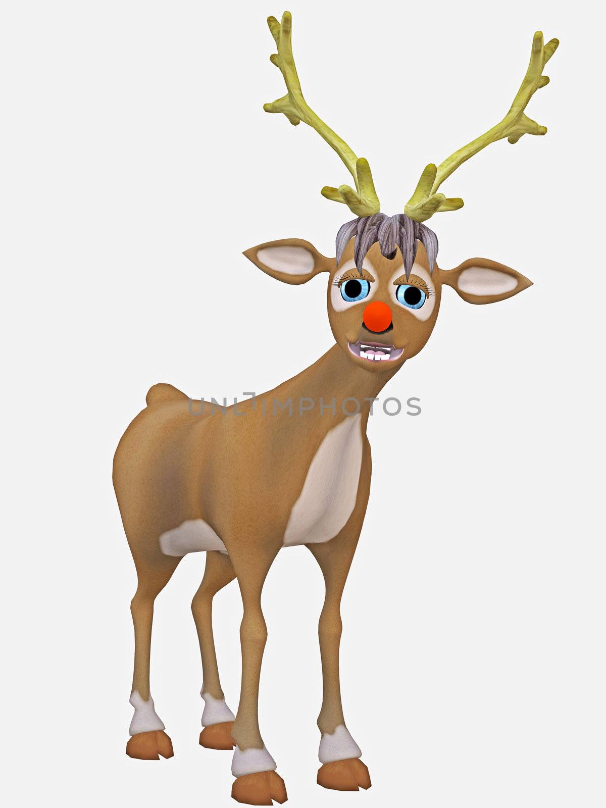 reindeer by ancello