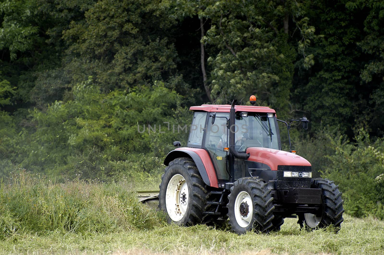 the harvest of colza with machines like a reaping-machine threshing-machine and tractor