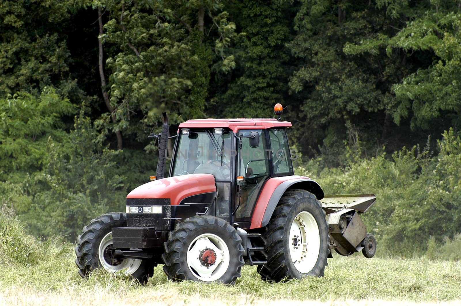 the harvest of colza with machines like a reaping-machine threshing-machine and tractor