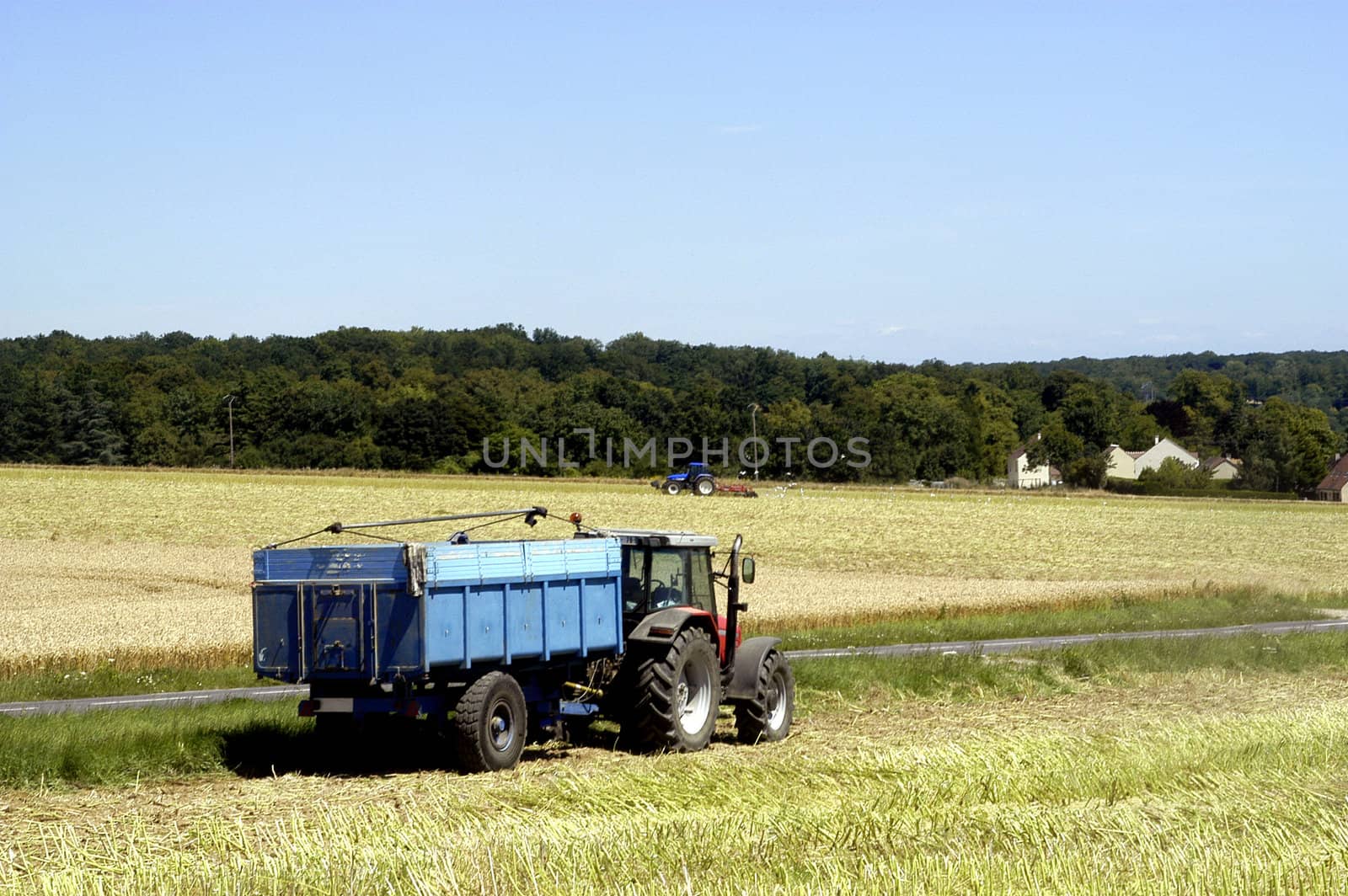 the harvest of colza with machines like a reaping-machine threshing-machine and tractor
