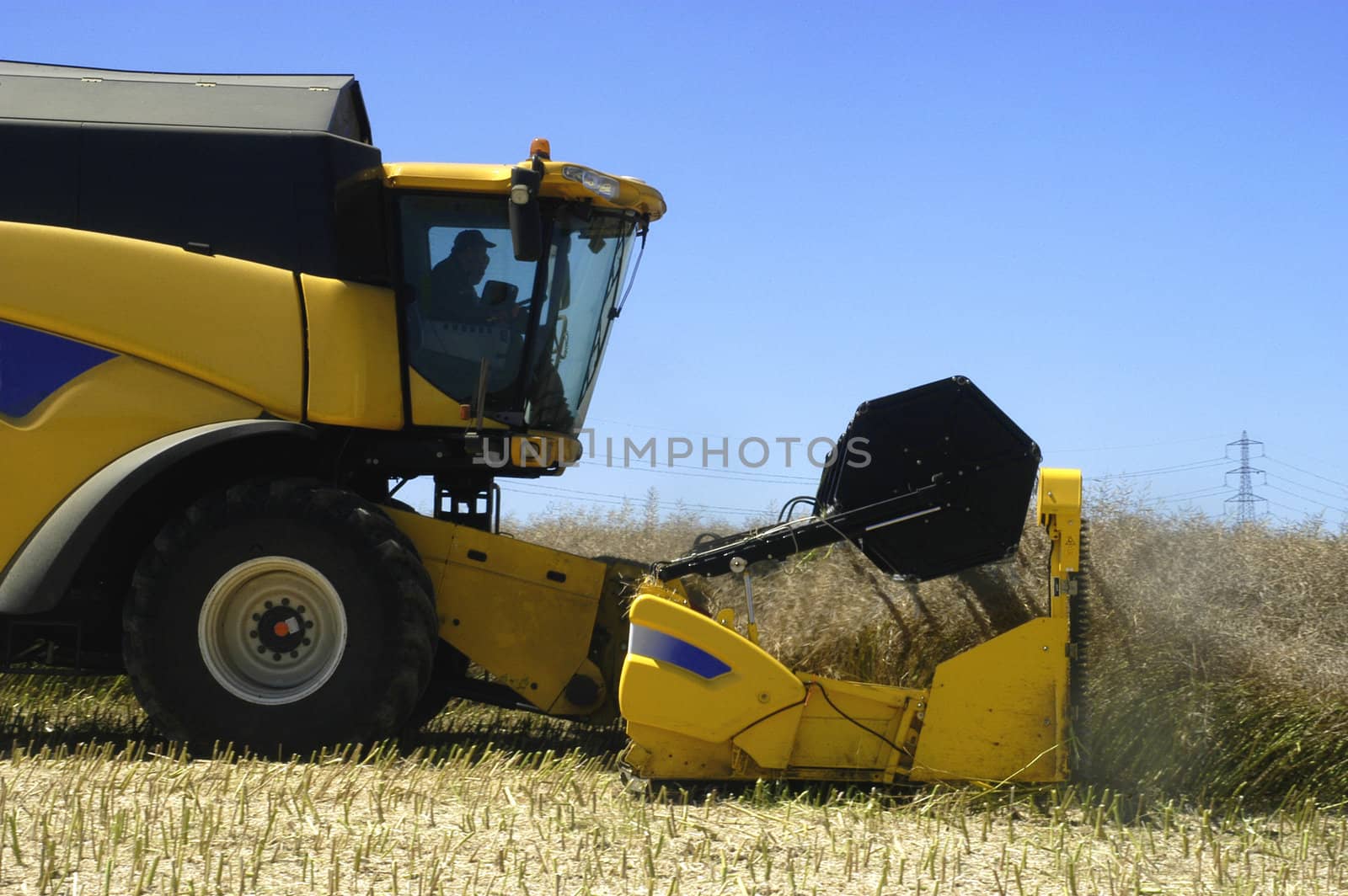 the harvest of colza with machines like a reaping-machine threshing-machine and tractor