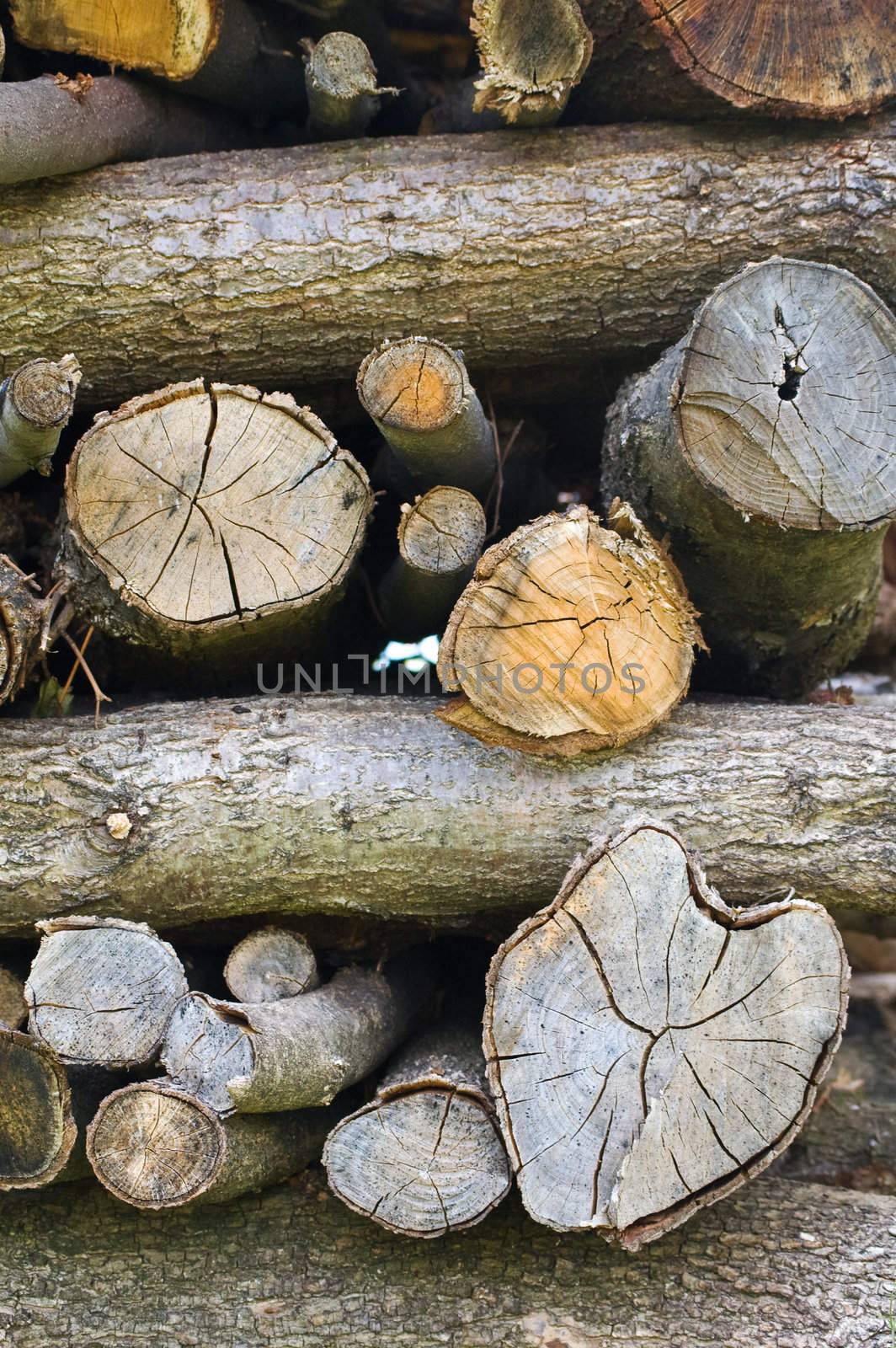 Close up shot of stacked logs