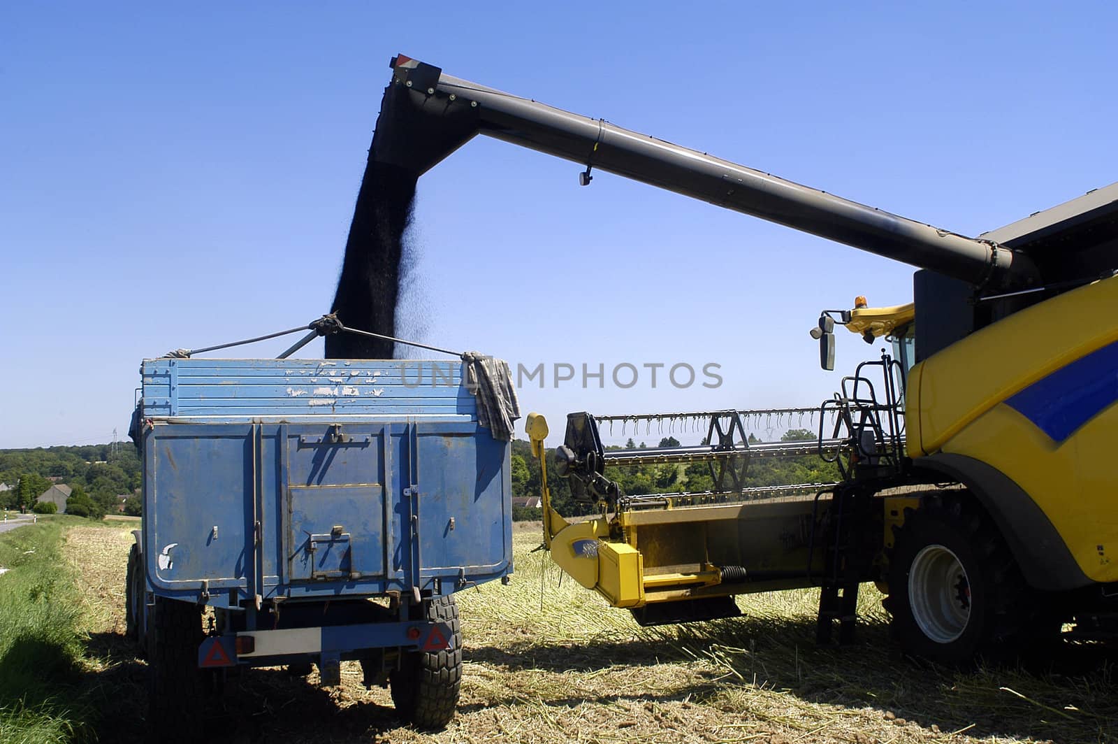 the harvest of colza with machines like a reaping-machine threshing-machine and tractor