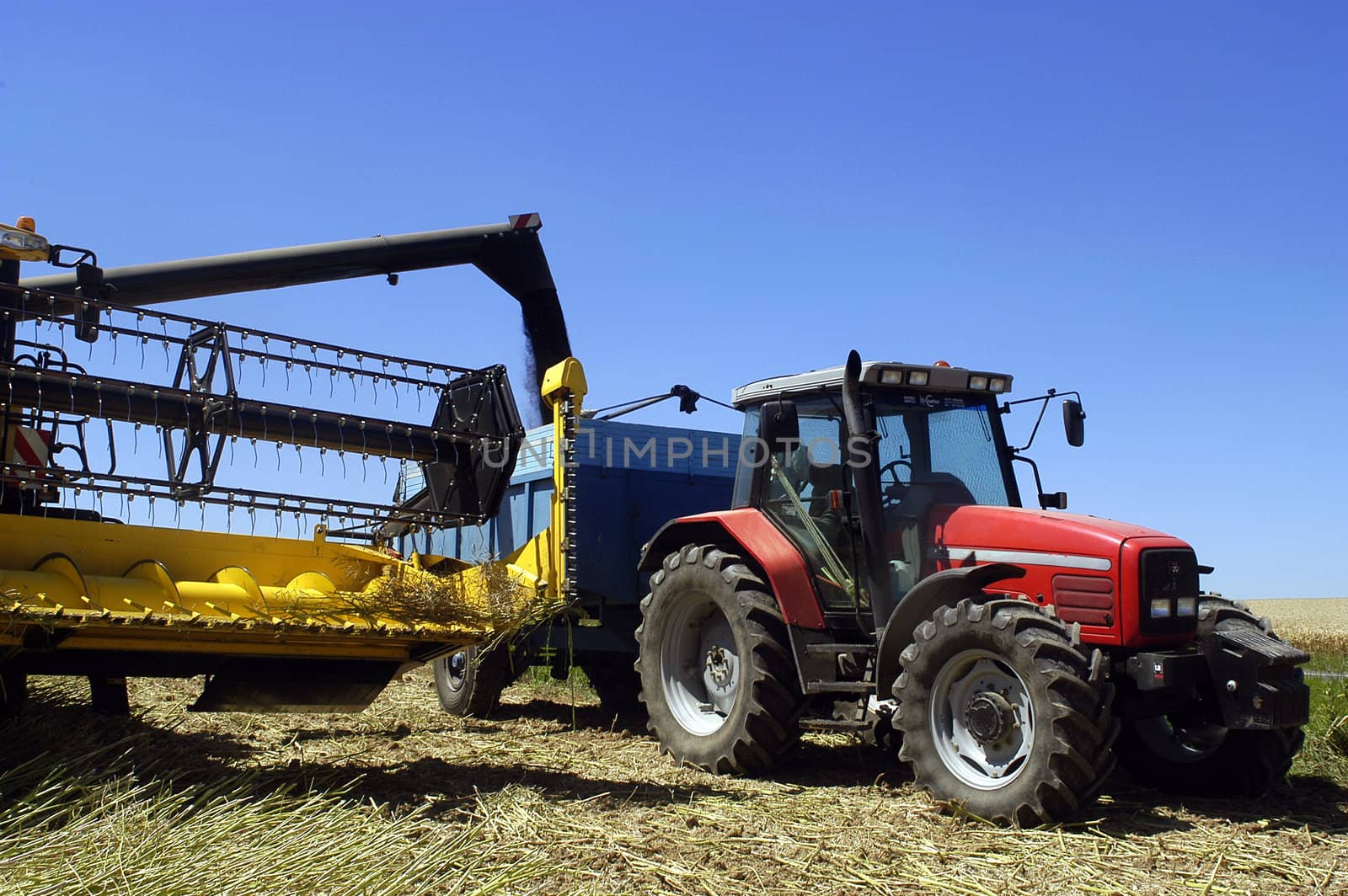 the harvest of colza with machines like a reaping-machine threshing-machine and tractor