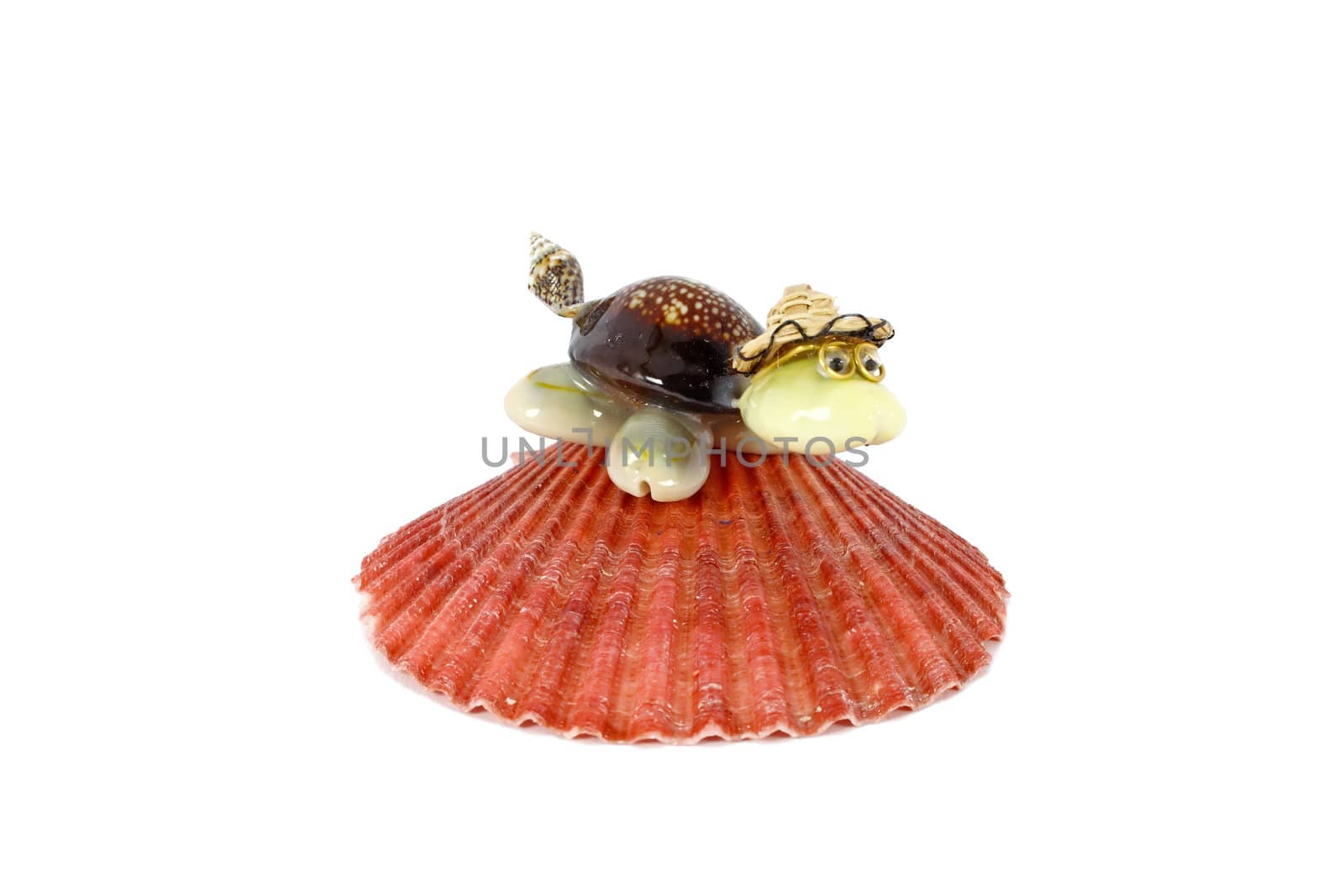 Little turtle made of shells, souvenir from vacation