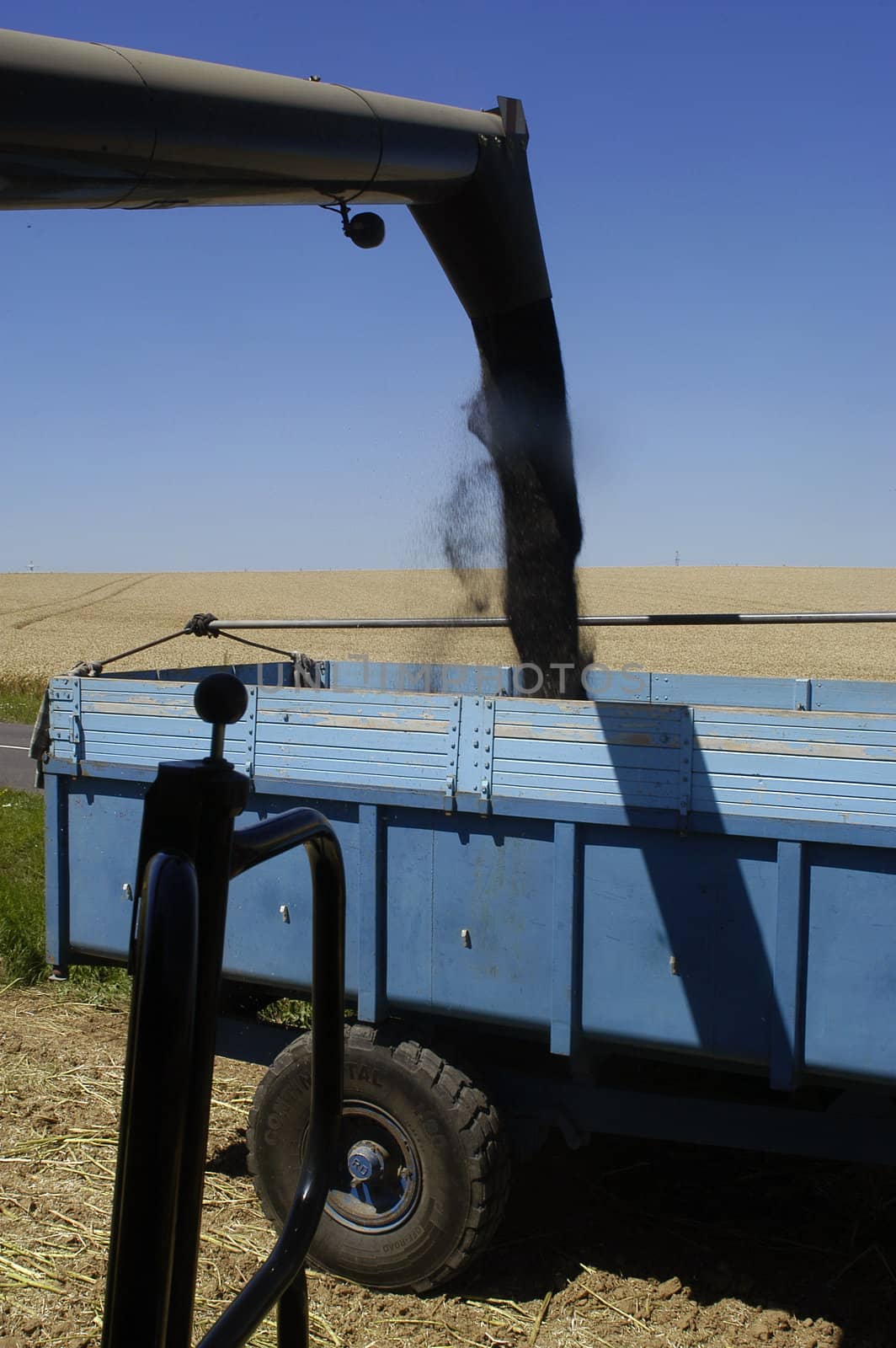 the harvest of colza with machines like a reaping-machine threshing-machine and tractor