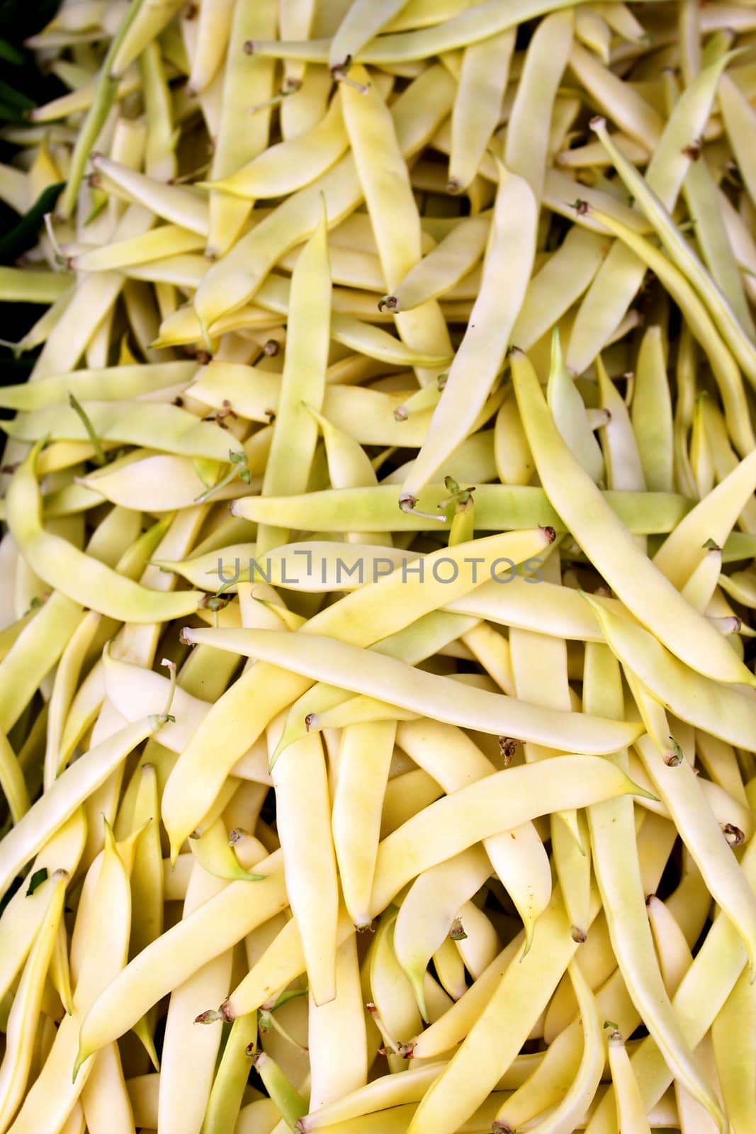 Golden Beans presented at an organic farmers market