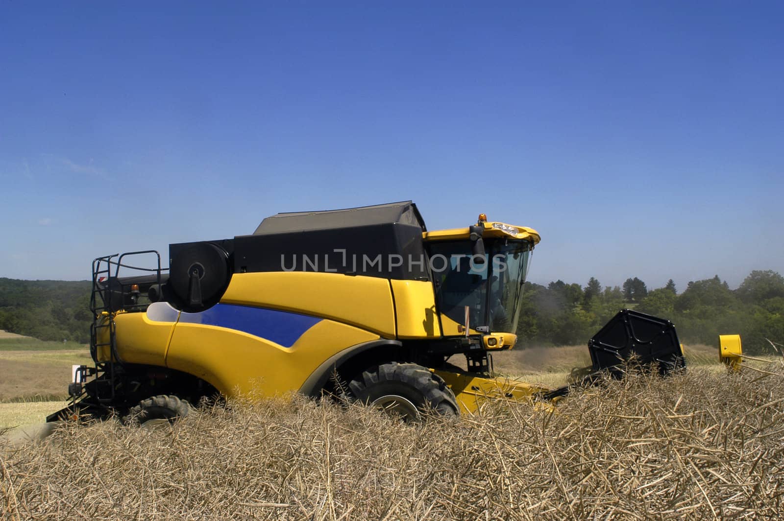 the harvest of colza with machines like a reaping-machine threshing-machine and tractor