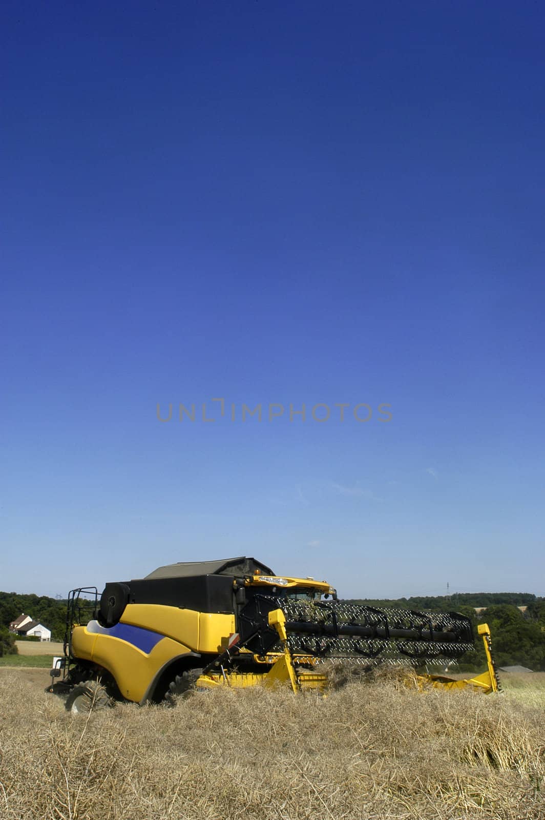 the harvest of colza with machines like a reaping-machine threshing-machine and tractor