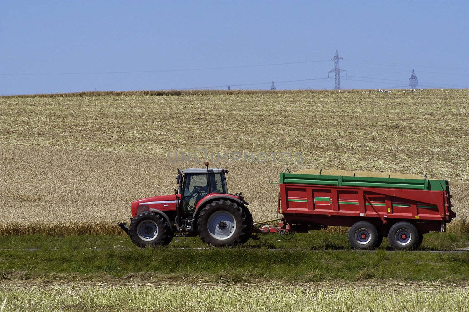 the harvest of colza with machines like a reaping-machine threshing-machine and tractor