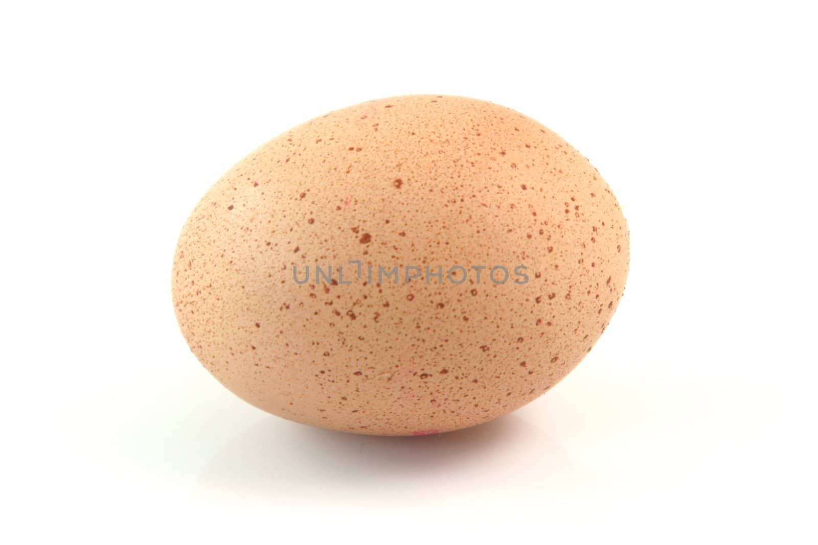 egg with spots isolated on white background food concepts