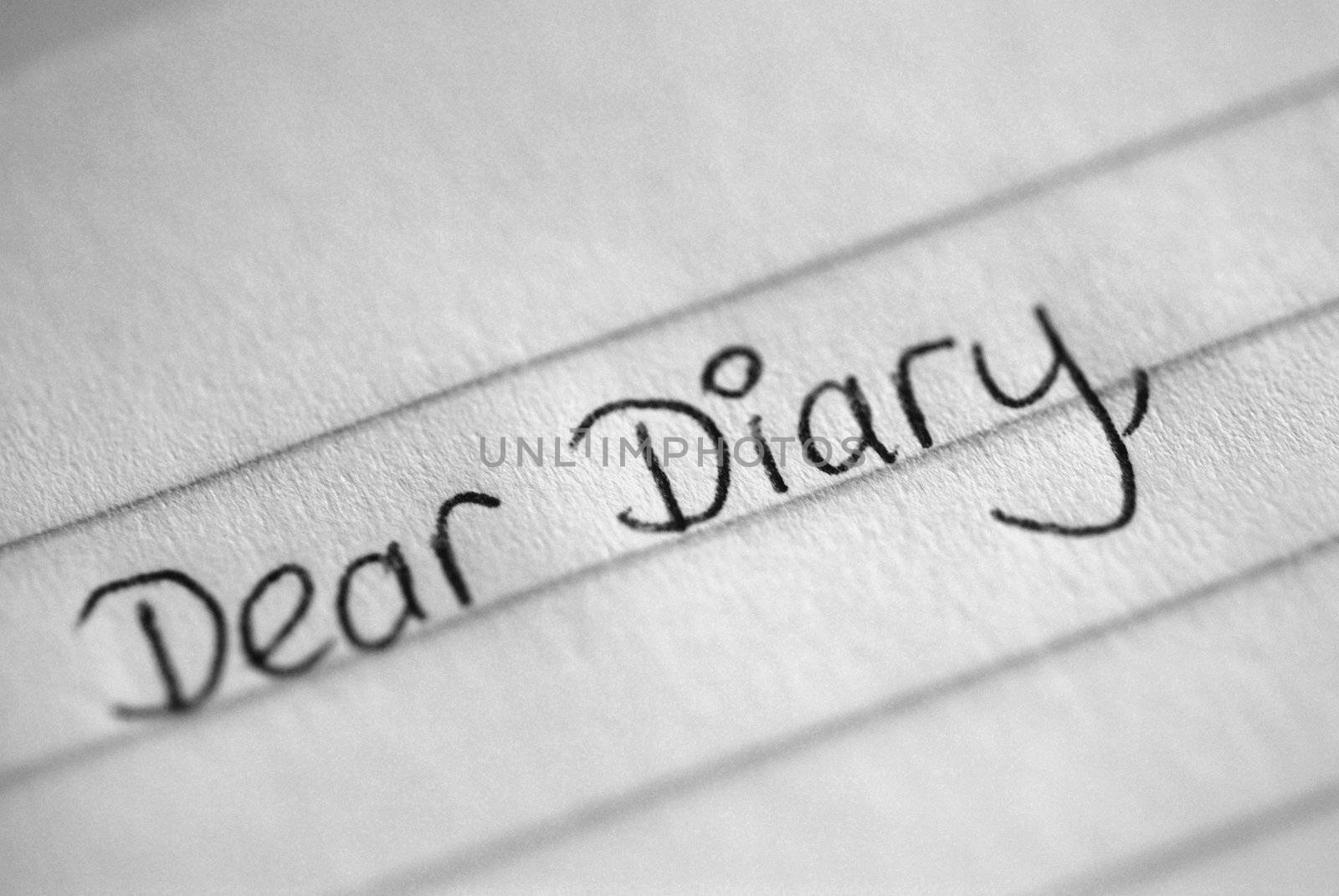 Dear Diary Entry by pwillitts