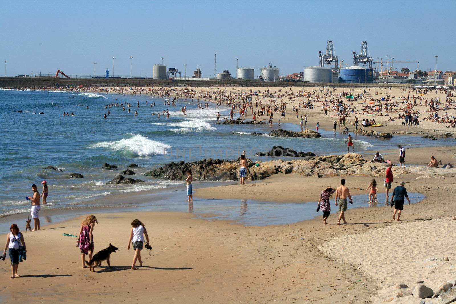 crowded beach in the summer