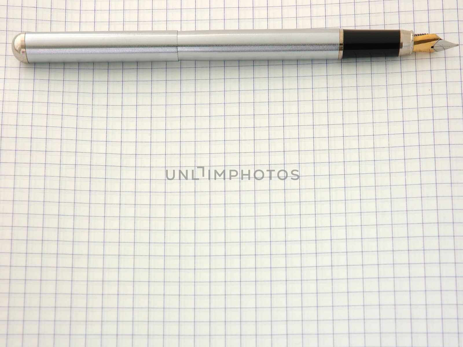 Pen on blank squared paper (blank writing-book).