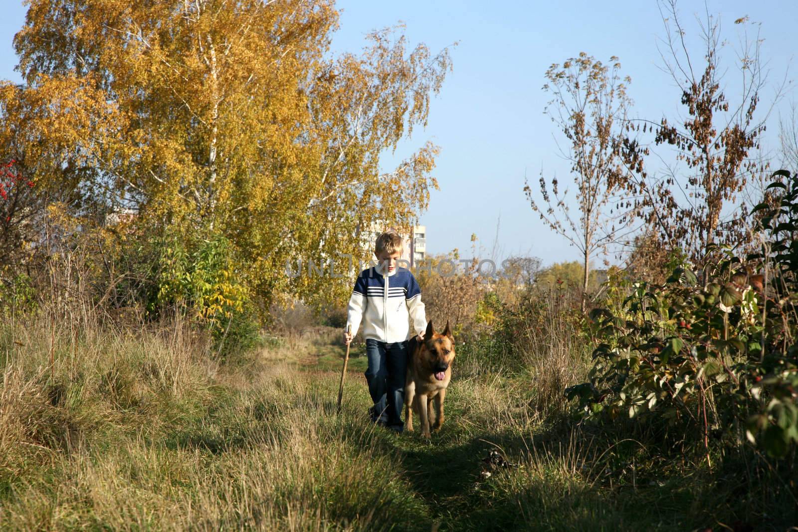 Little boy on the walk with the big, obedient dog (German Shepherd ) on suburb of the city.