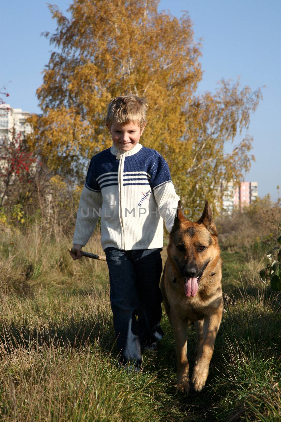 Little boy on the walk with the big, obedient dog (German Shepherd ) on suburb of the city.