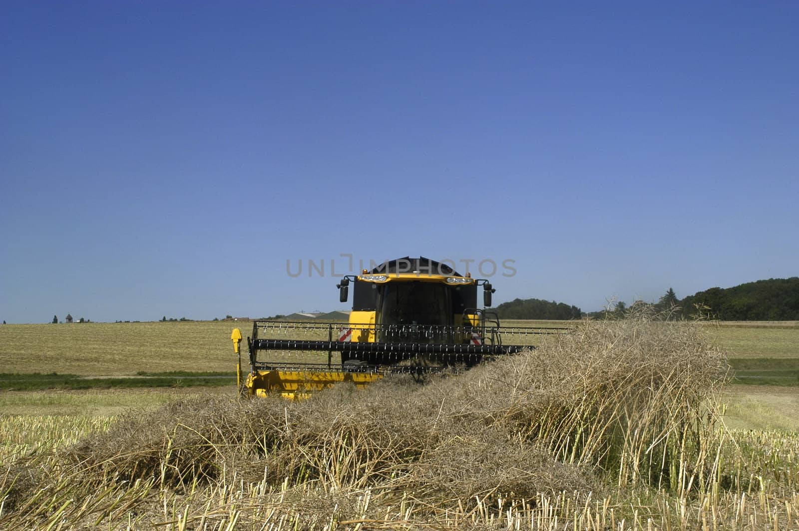 the harvest of colza with machines like a reaping-machine threshing-machine and tractor