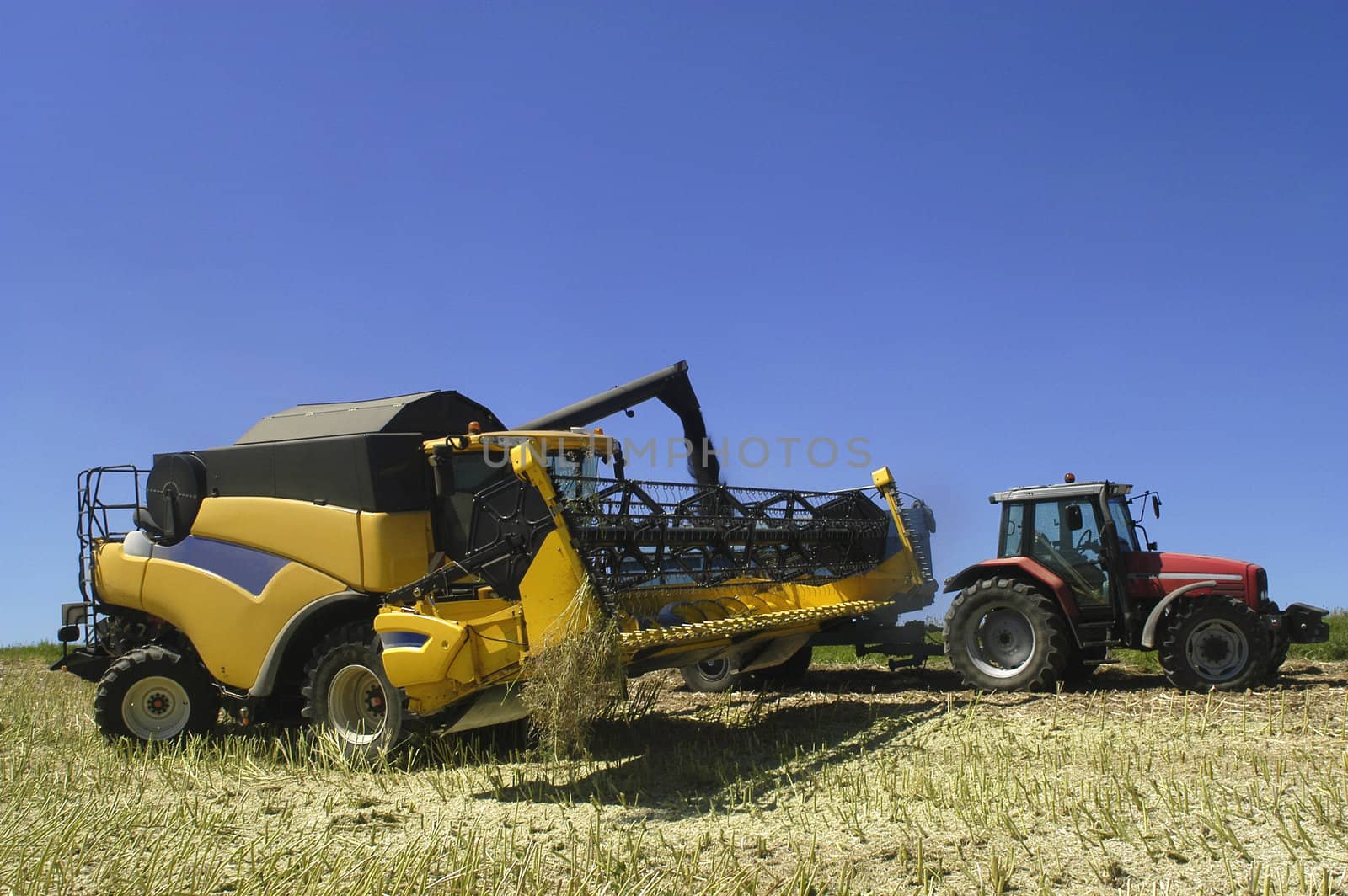 the harvest of colza with machines like a reaping-machine threshing-machine and tractor