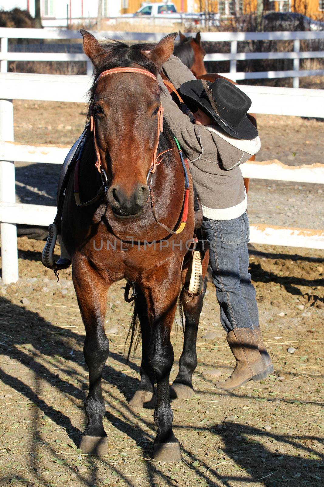 Young horse rider climbing of his horse