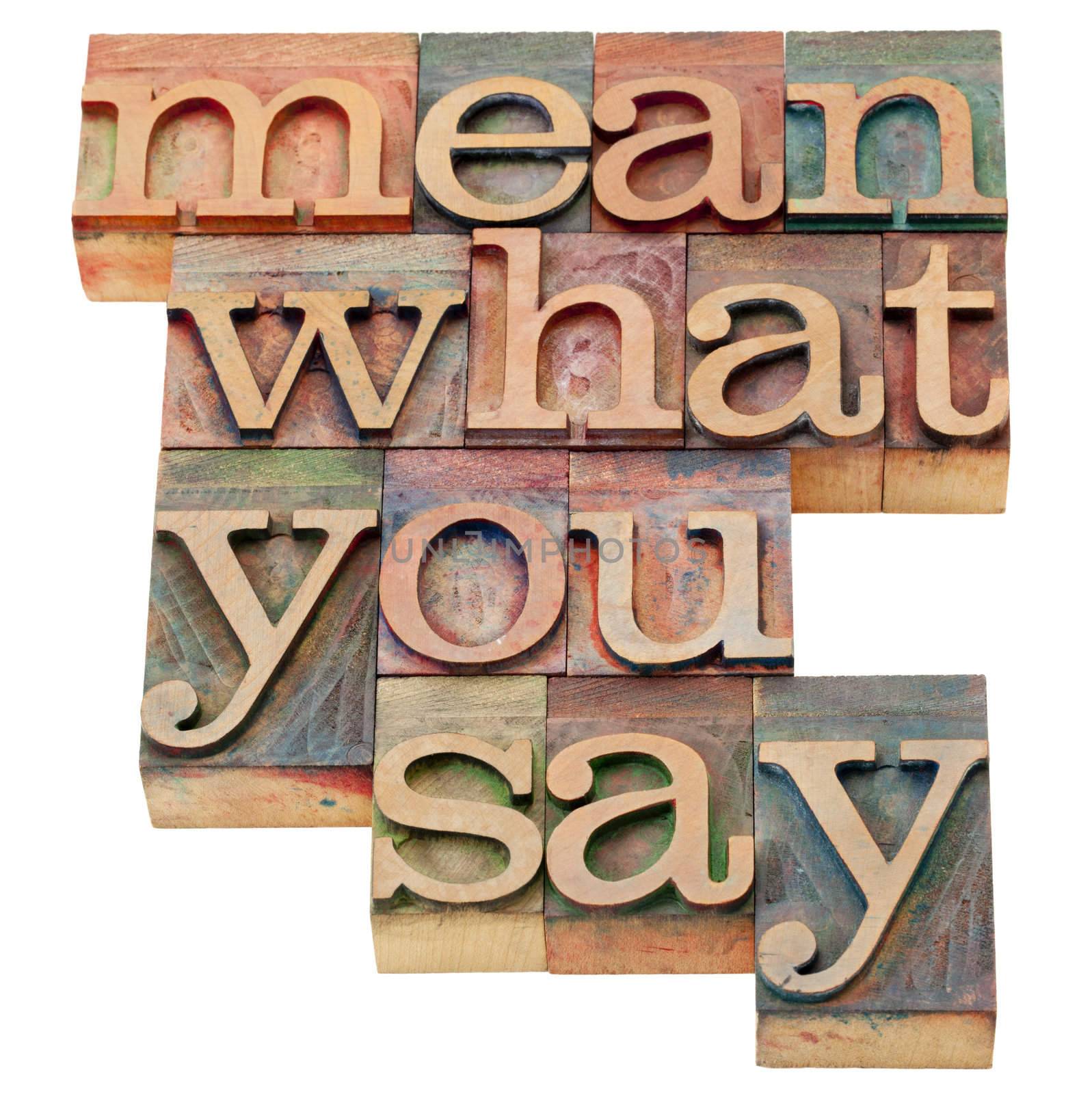 mean what to say - advice in isolated vintage wood letterpress printing blocks