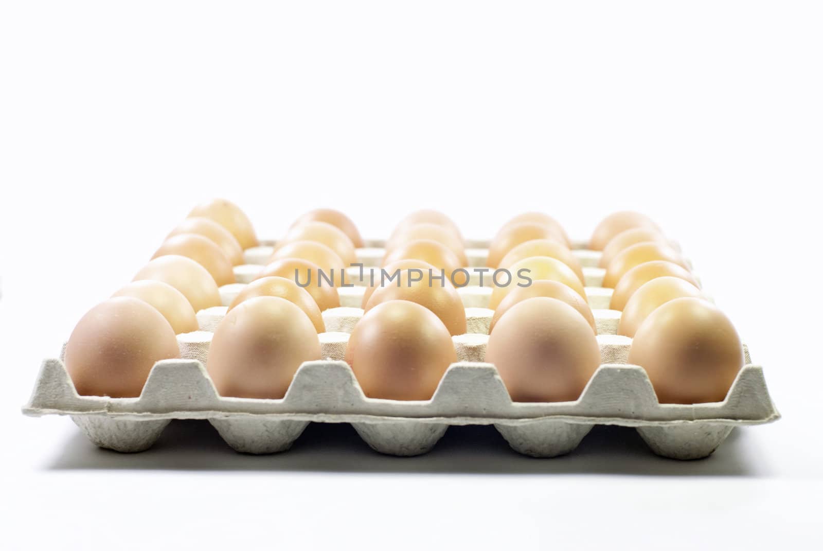 a tray of fresh egg