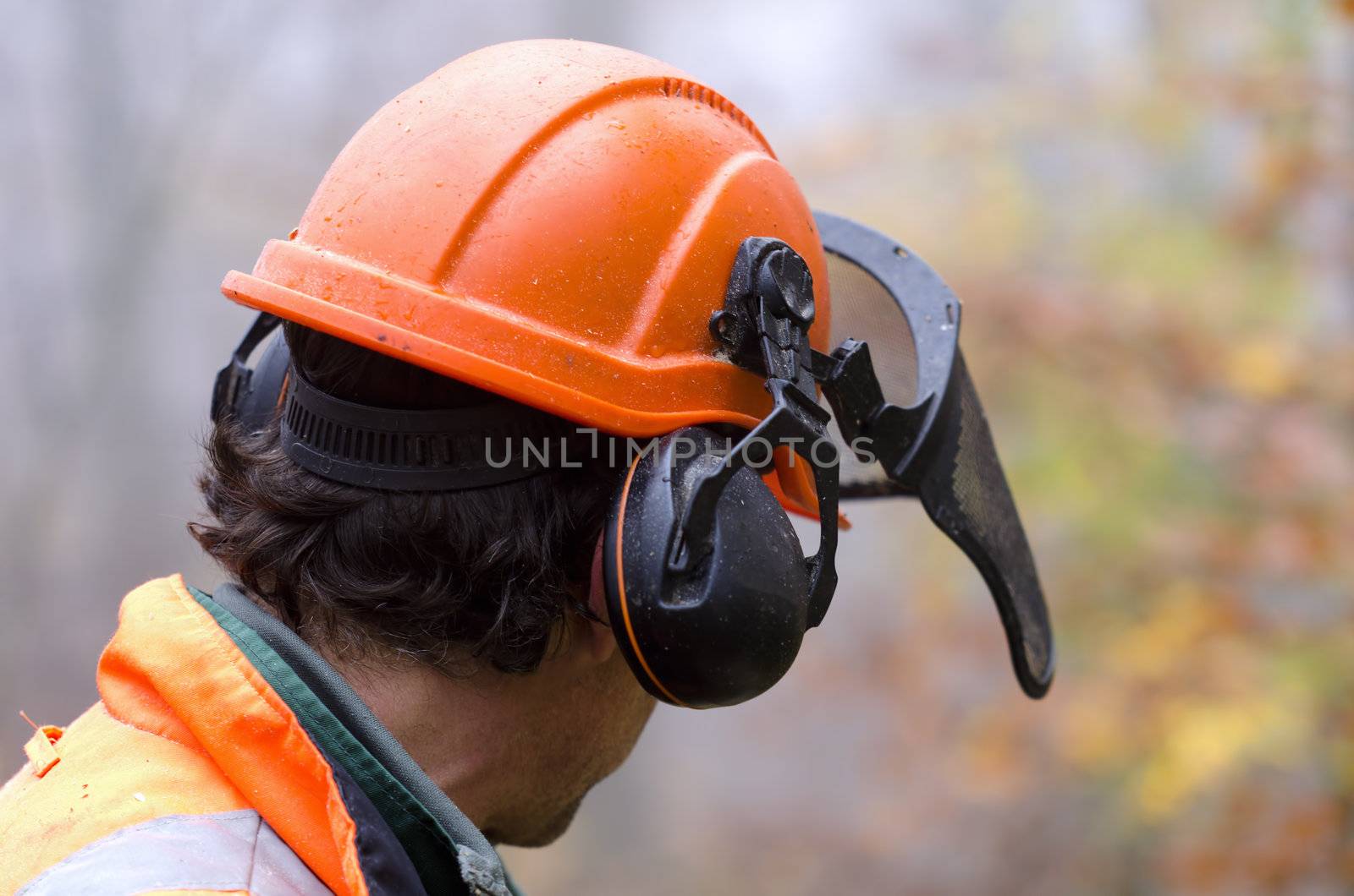 a lumberjack with his helmet