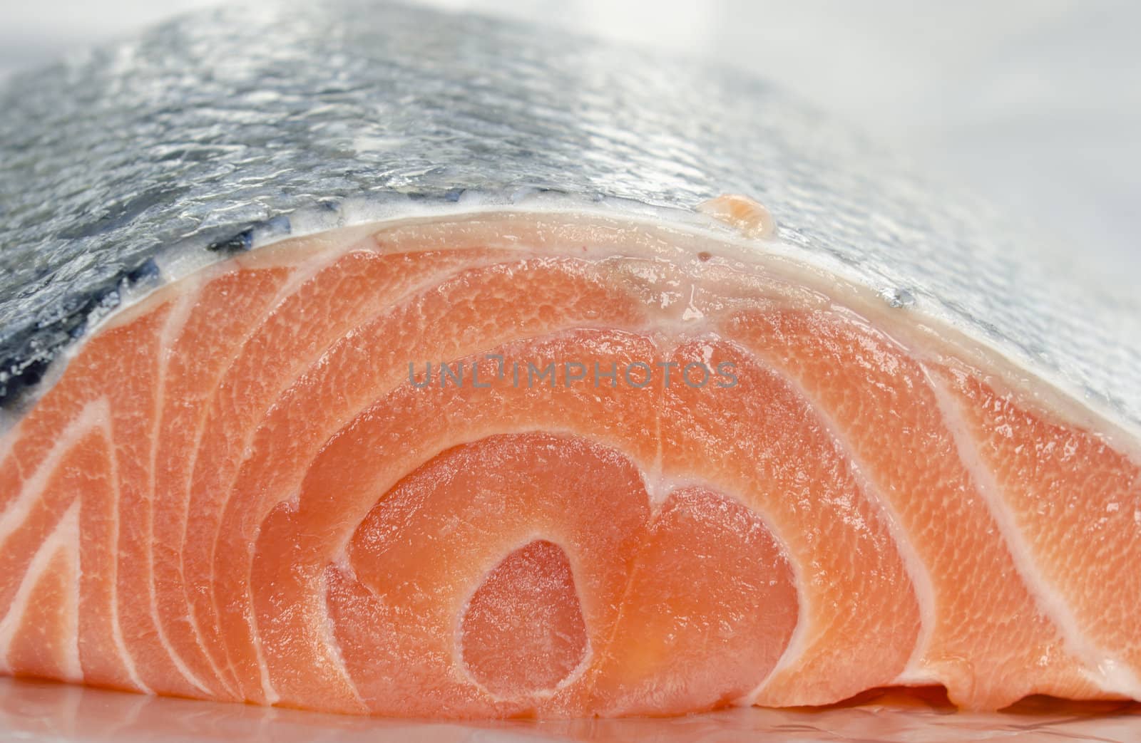 piece of salmon