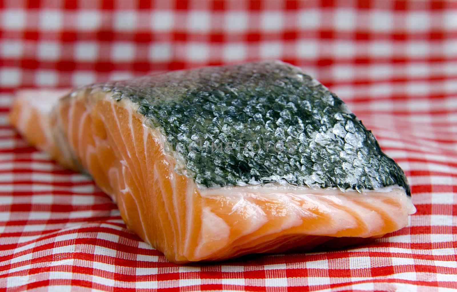 a piece of salmon