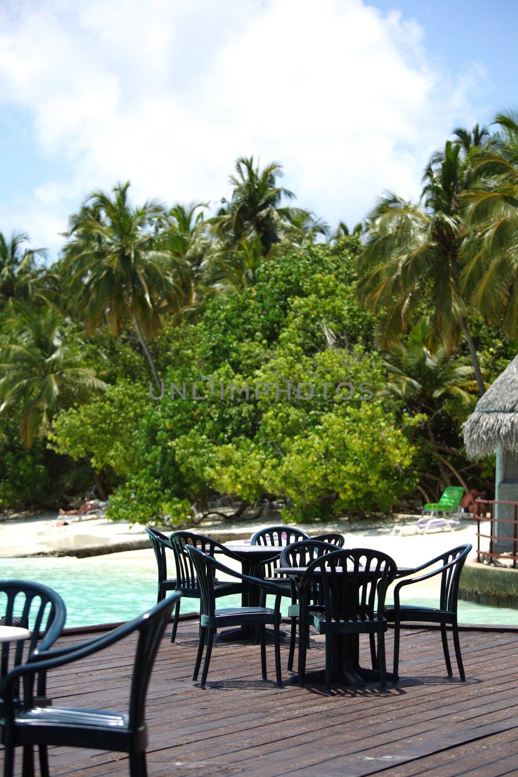 tropical cafe on the background of a  palm trees and sky and sea