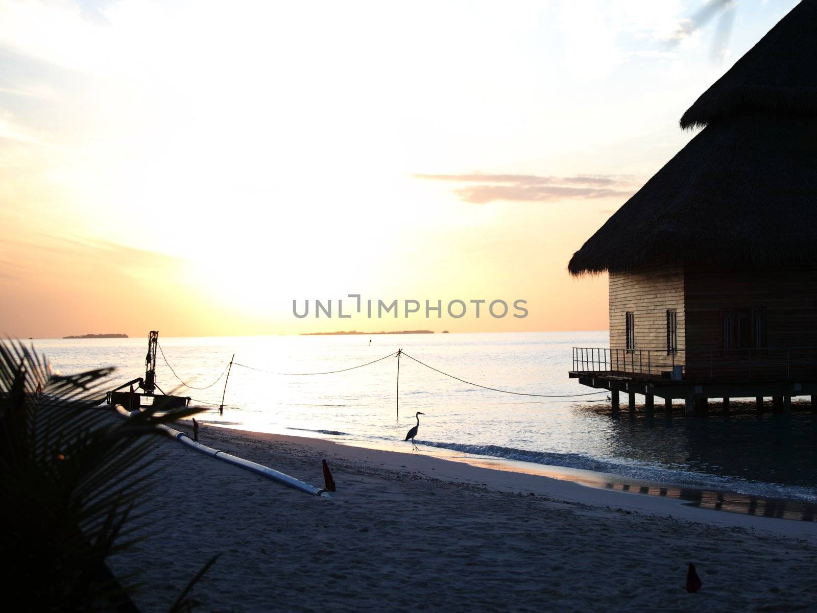 resort maldivian houses on sunrise