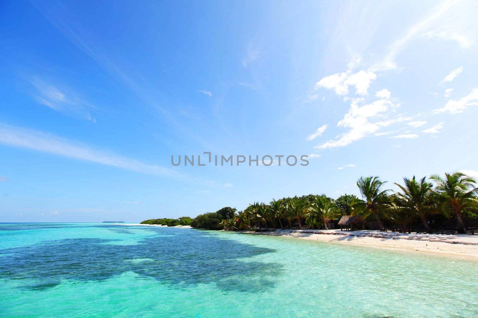tropical island in blue sea