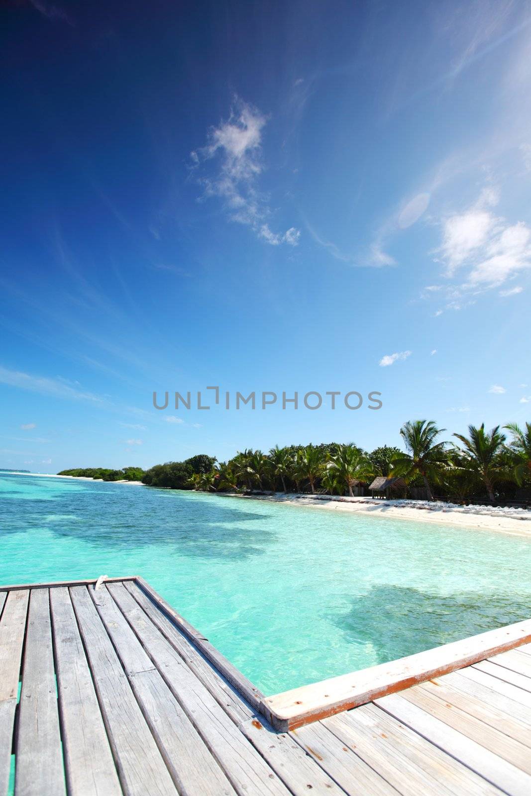 resort maldivian houses in blue sea