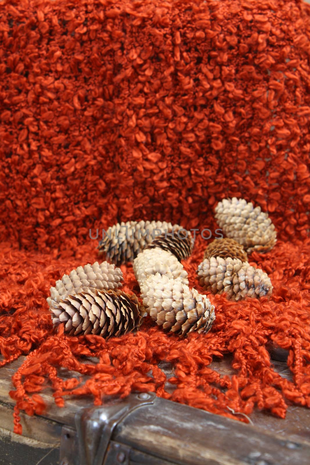 Pinecones on a woolen red scarf background