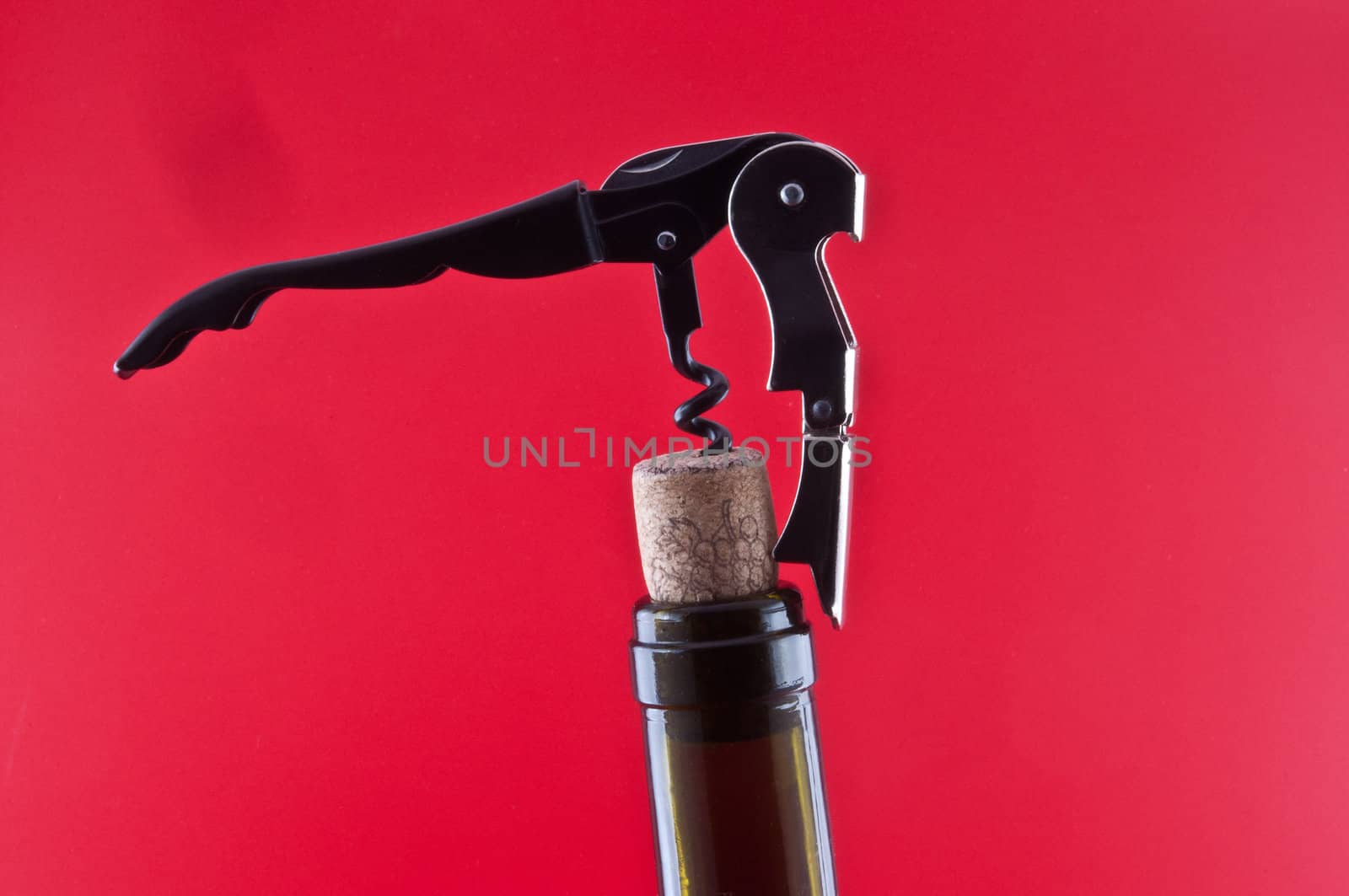Bottle with a cork and corkscrew 2 by ben44