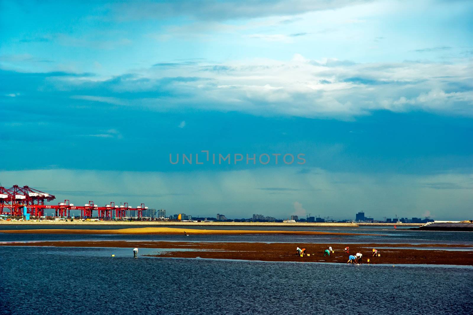 The beach at low tide _ cockle pickers by xfdly5