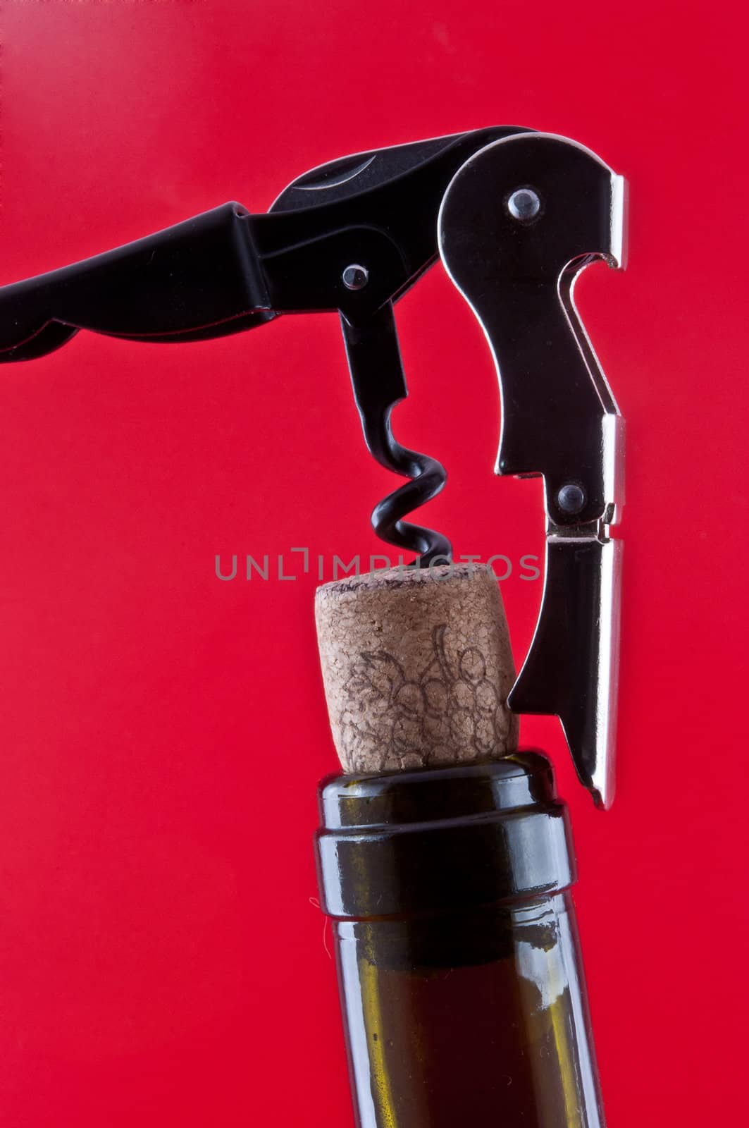 Bottle with a cork and corkscrew  by ben44